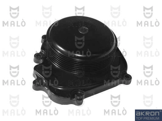 130591 Akron Malo