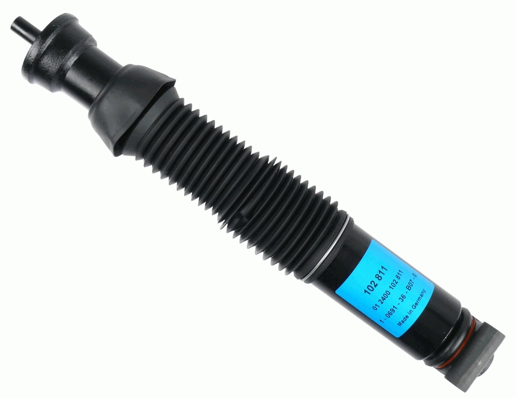 102811 Sachs