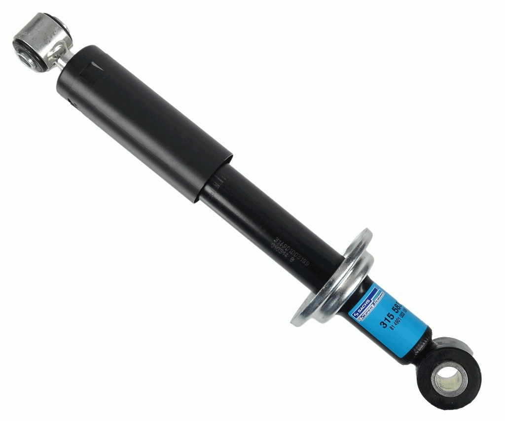 315583 Sachs