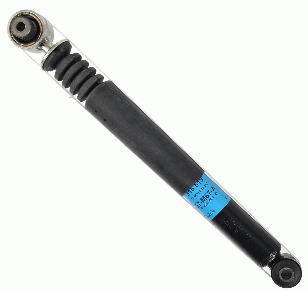 315519 Sachs