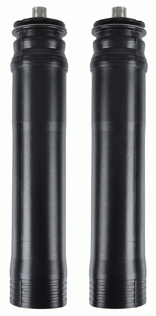 900308 Sachs