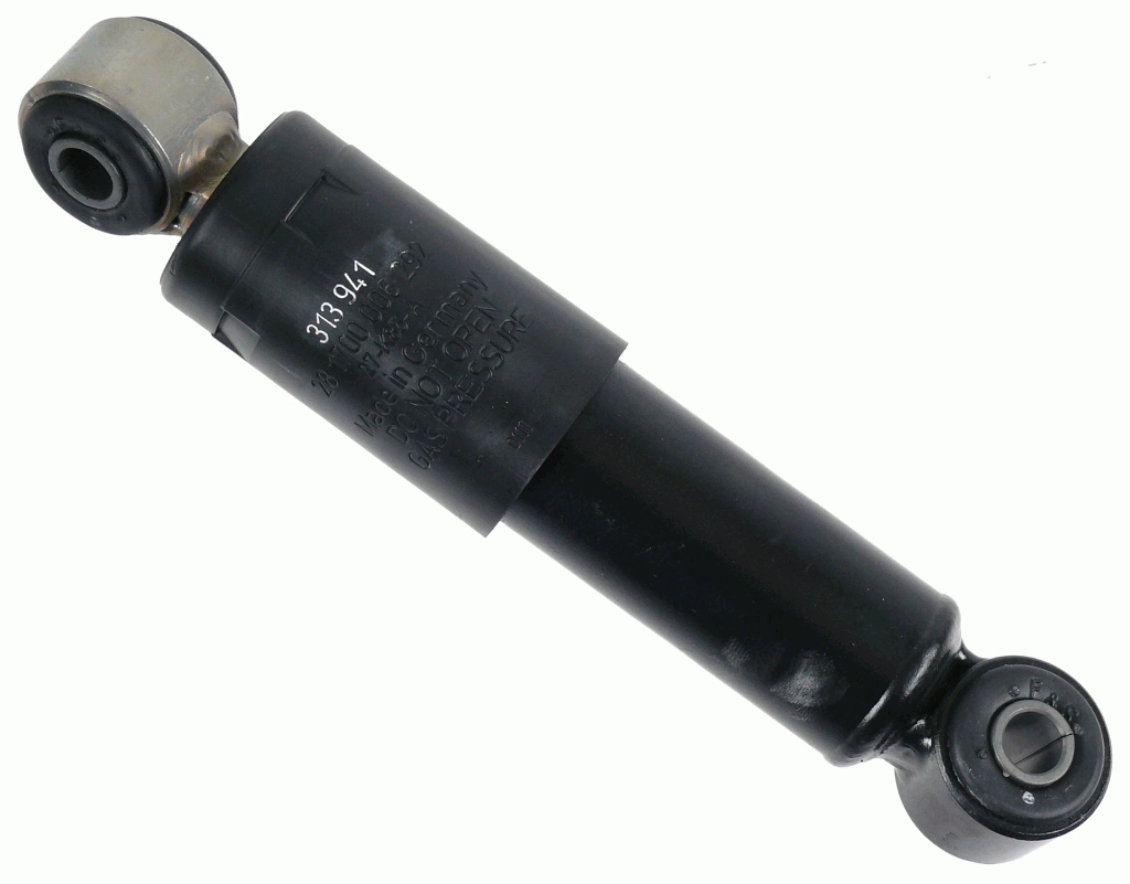 313941 Sachs