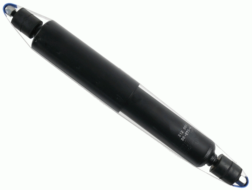 312969 Sachs
