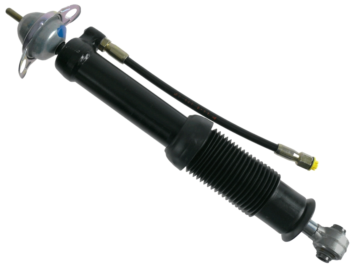 102309 Sachs