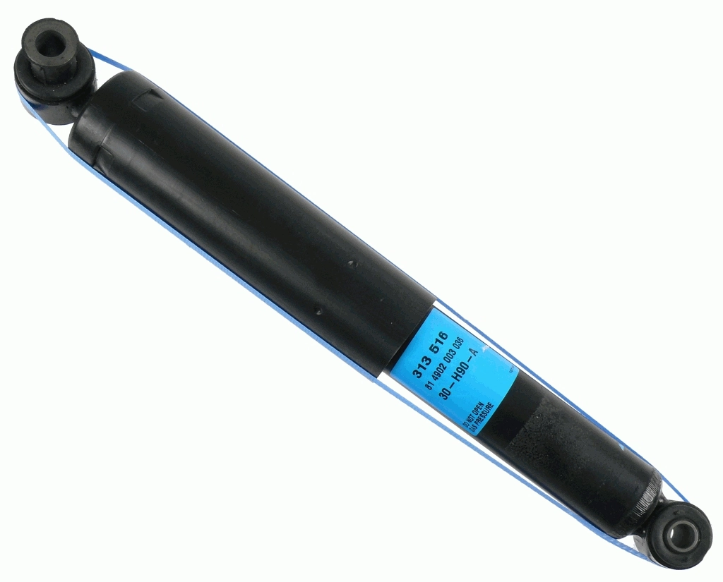 313516 Sachs