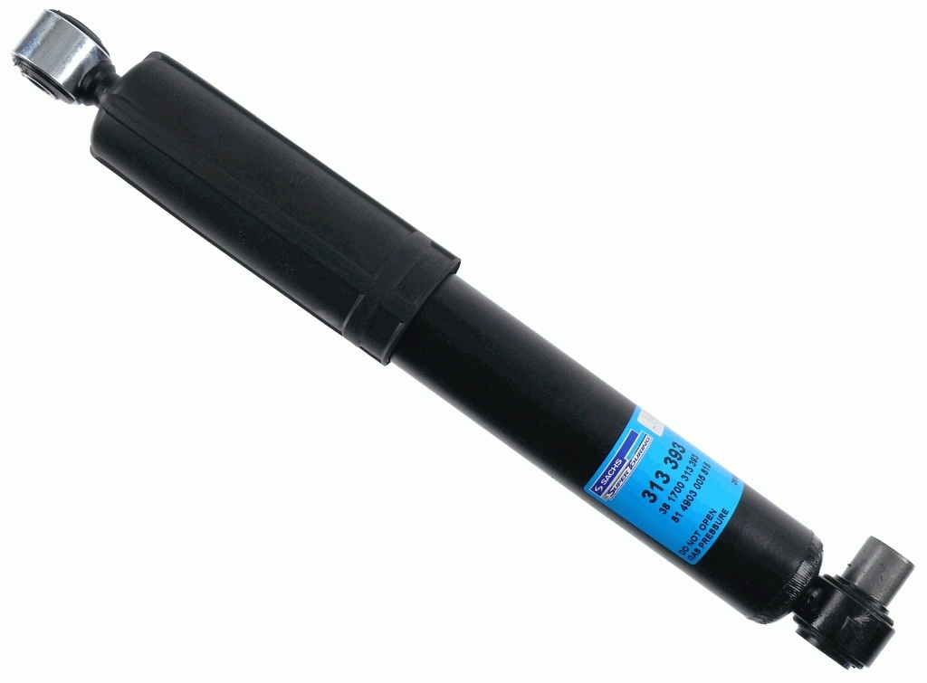 313393 Sachs