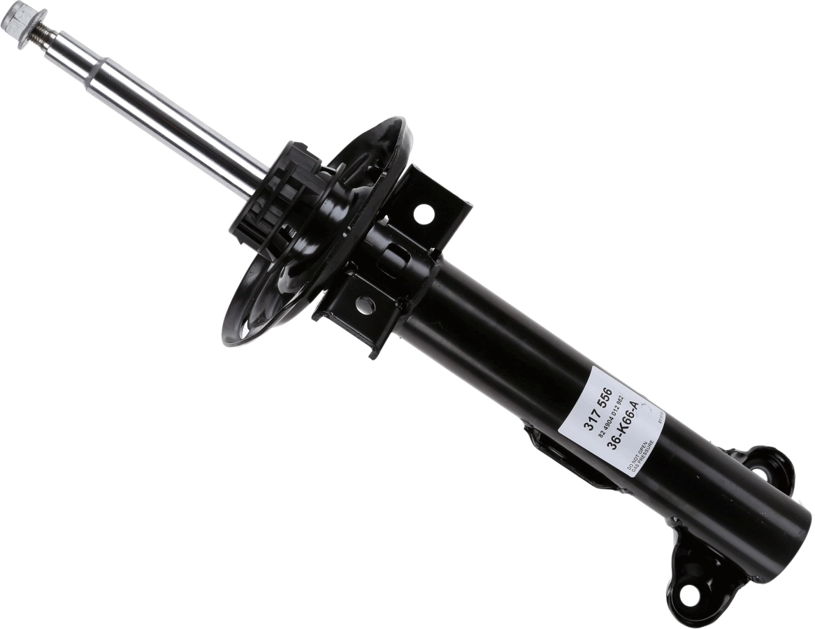 317556 Sachs