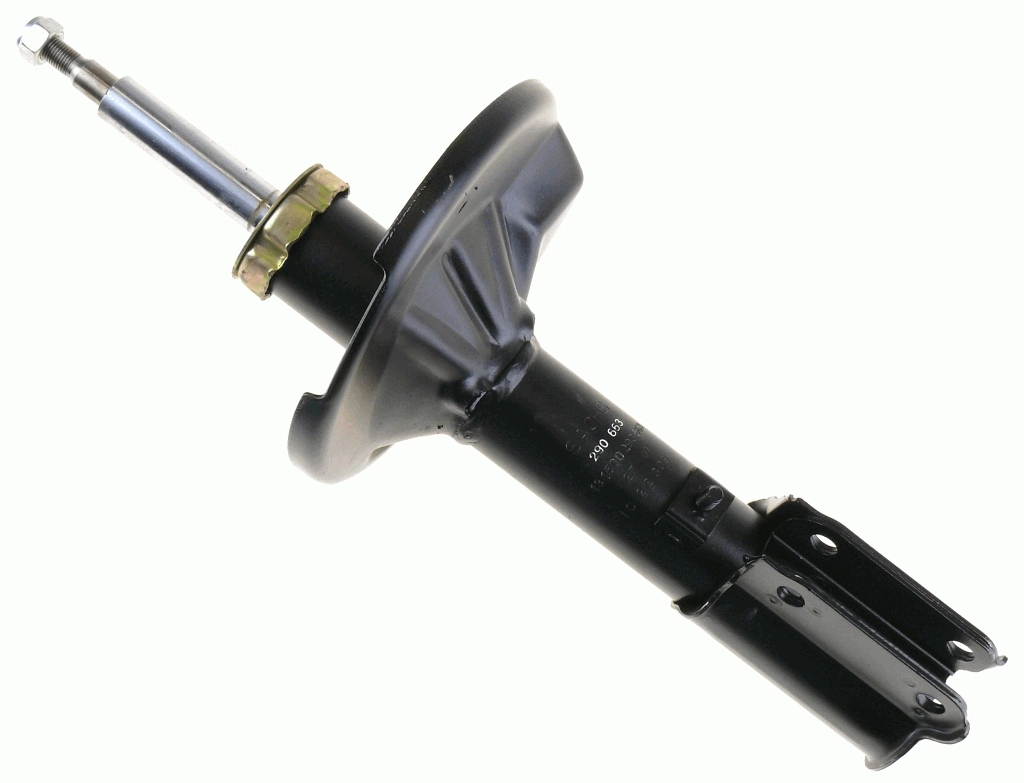 290663 Sachs