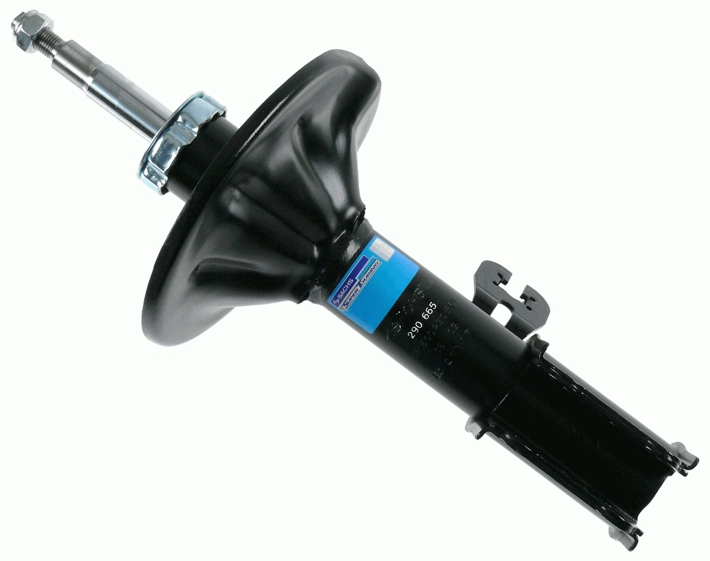 290665 Sachs