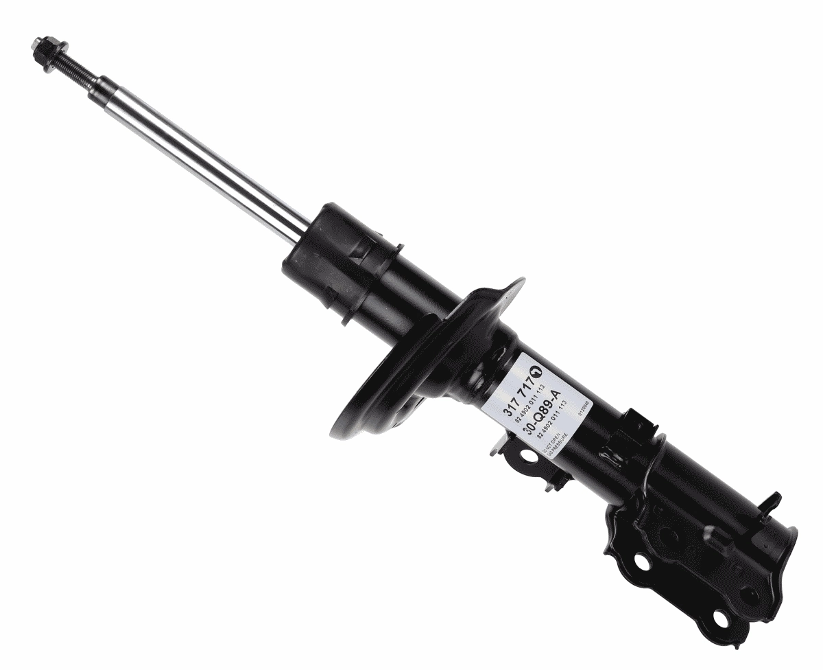 317717 Sachs