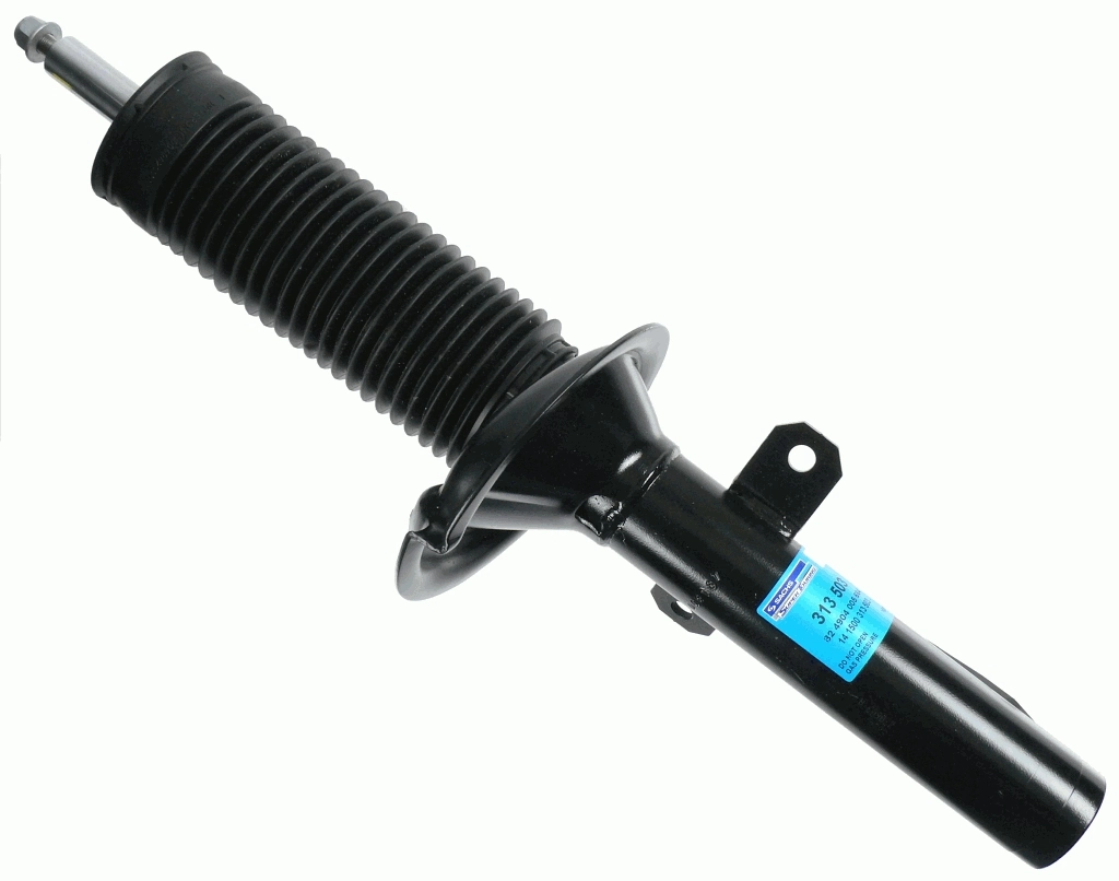 313503 Sachs