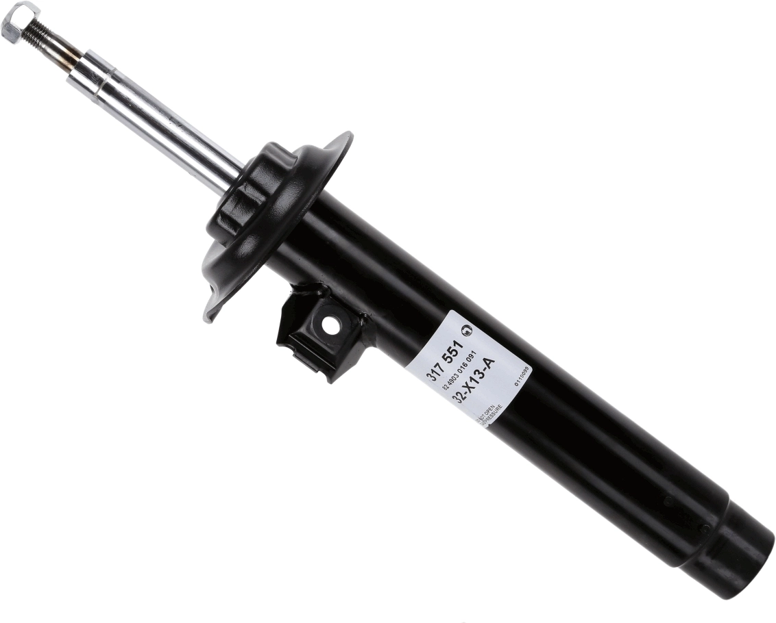 317551 Sachs