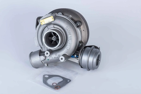 57519900001 Borg-Warner