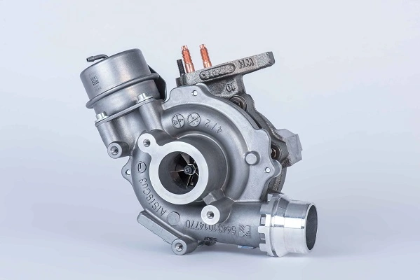 54389880006 Borg-Warner