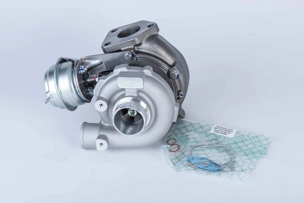 57439880003 Borg-Warner