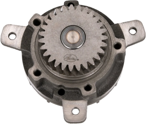 Bomba de água (bomba) de esfriamento Renault (RVI) 5001866278