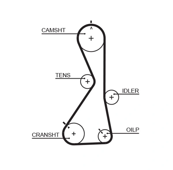 K015481XS Gates Correia do mecanismo de distribuição de gás, kit