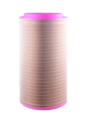 3841906 Volvo Filtro de ar