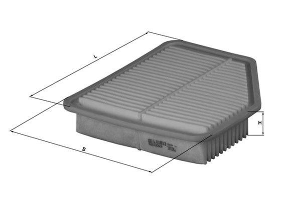 LX1613 Mahle Original