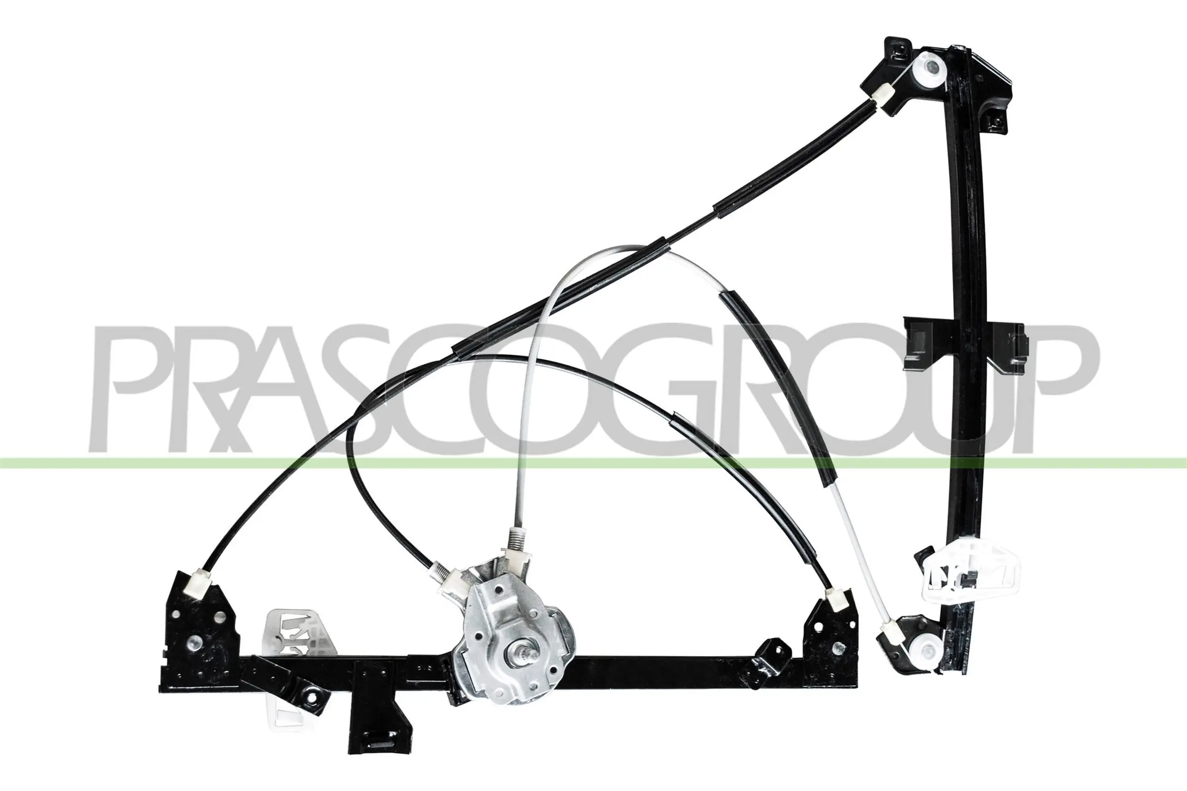 CI915W001 Prasco