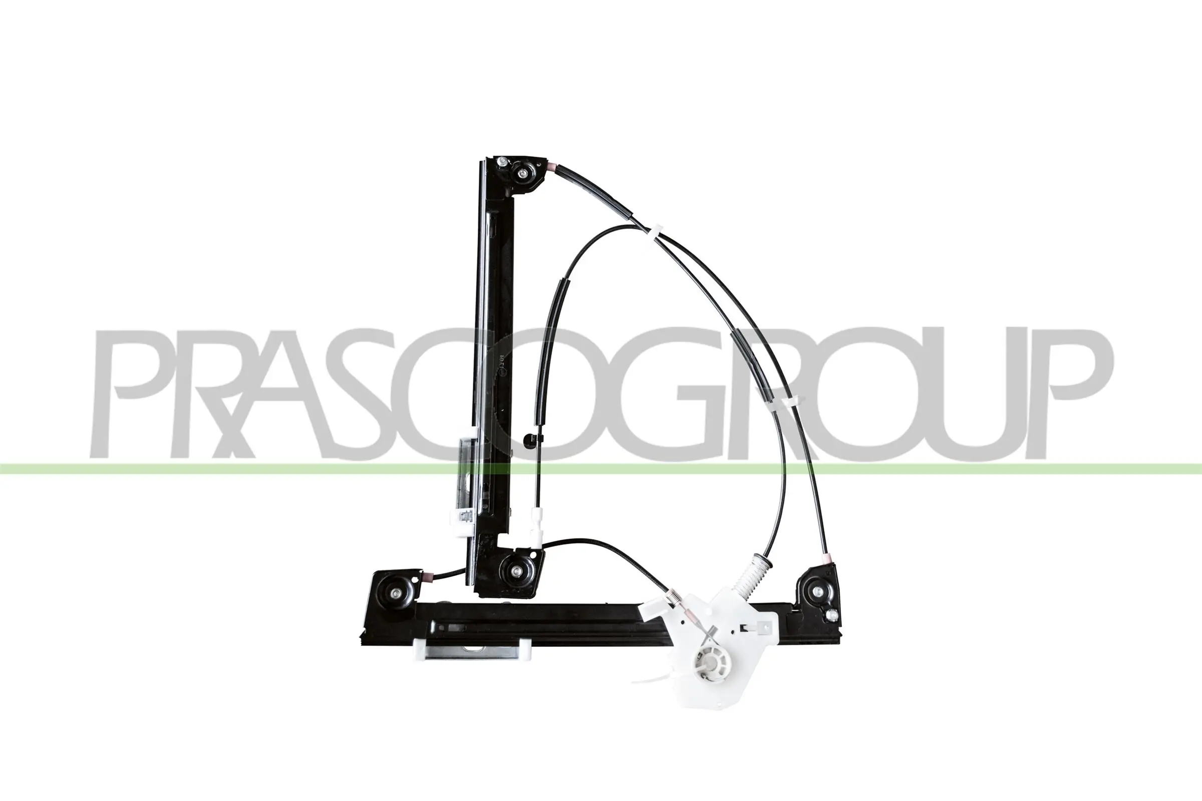 MN304W012 Prasco