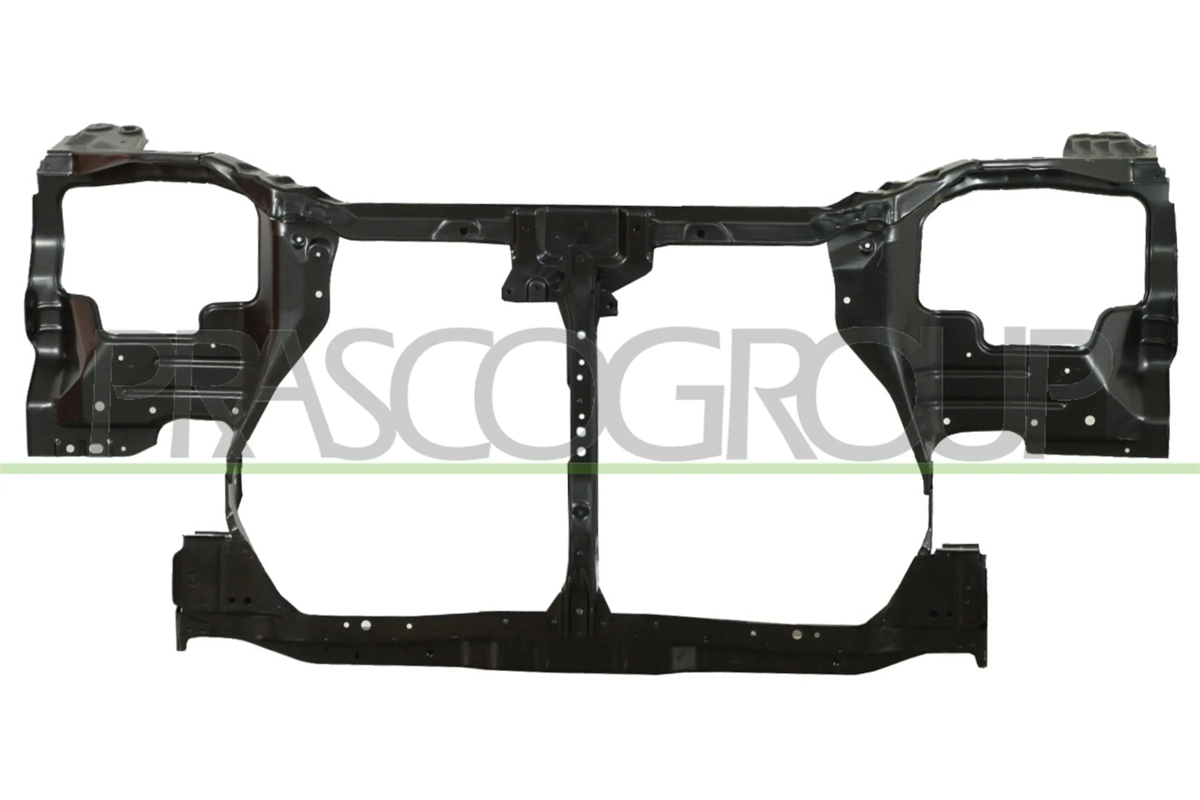 DS8303210 Prasco
