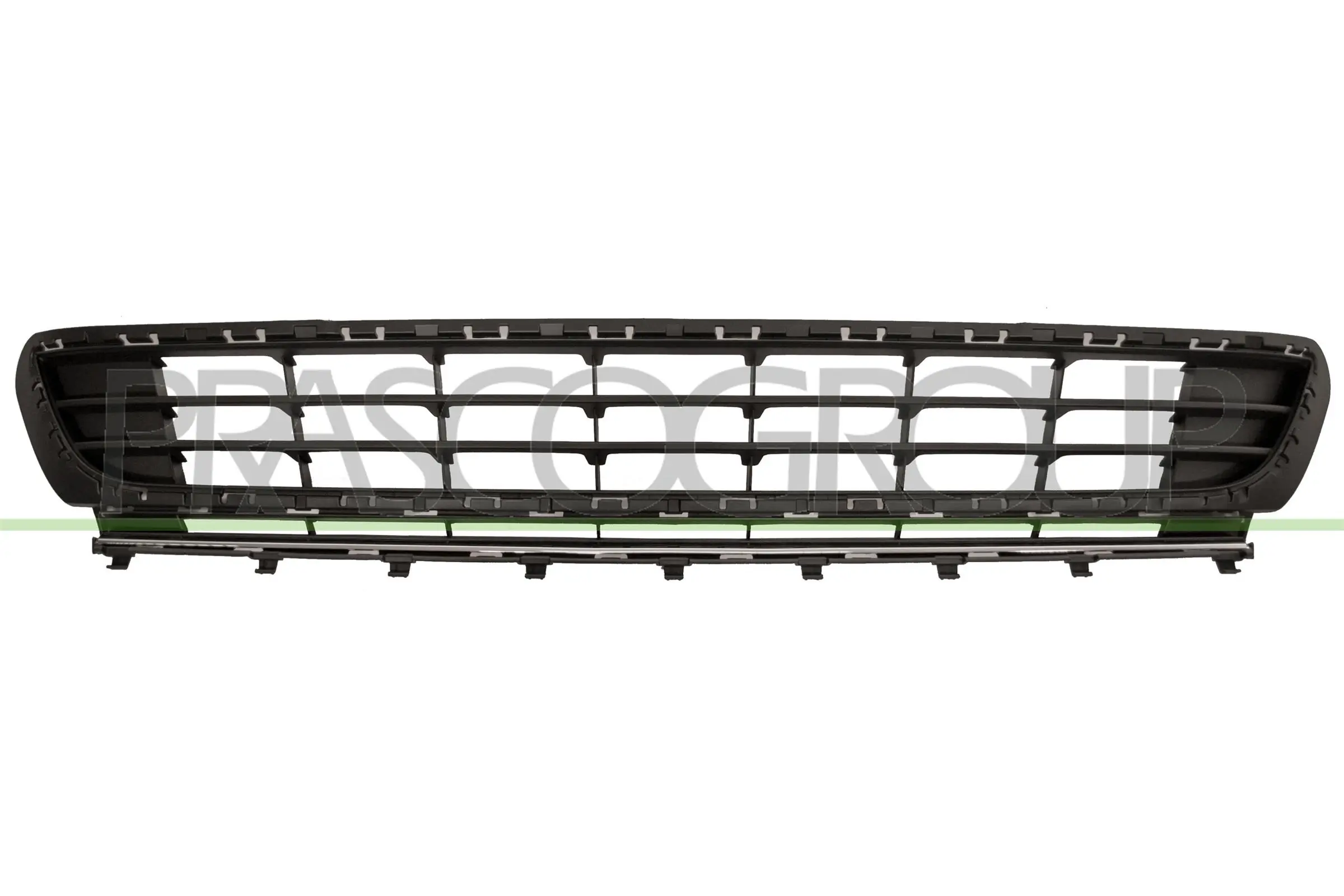 VG4002130 Prasco