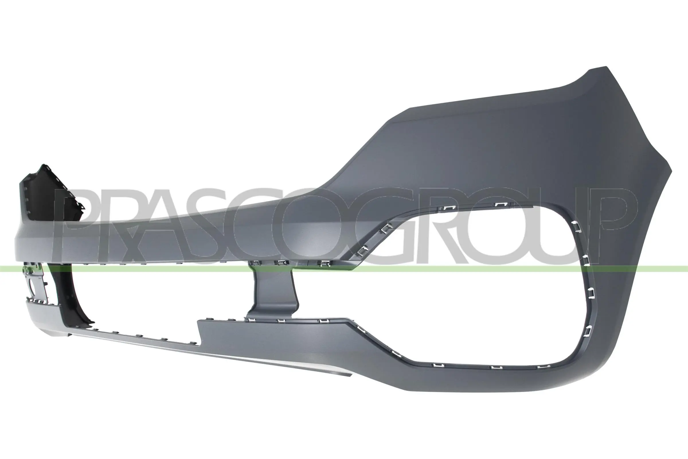 VG9231001 Prasco
