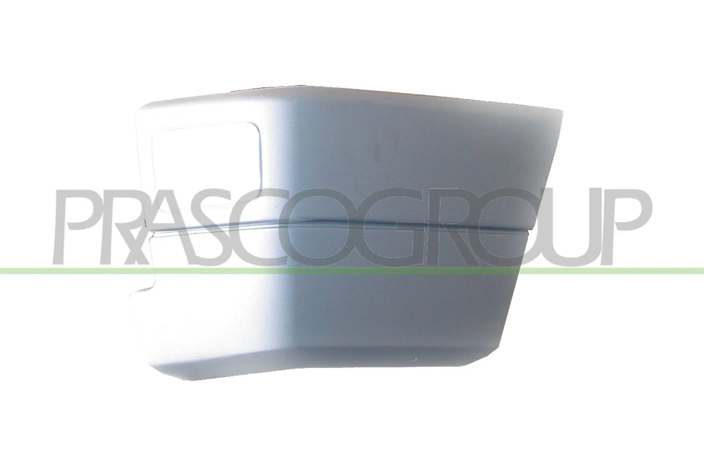 VG9131184 Prasco