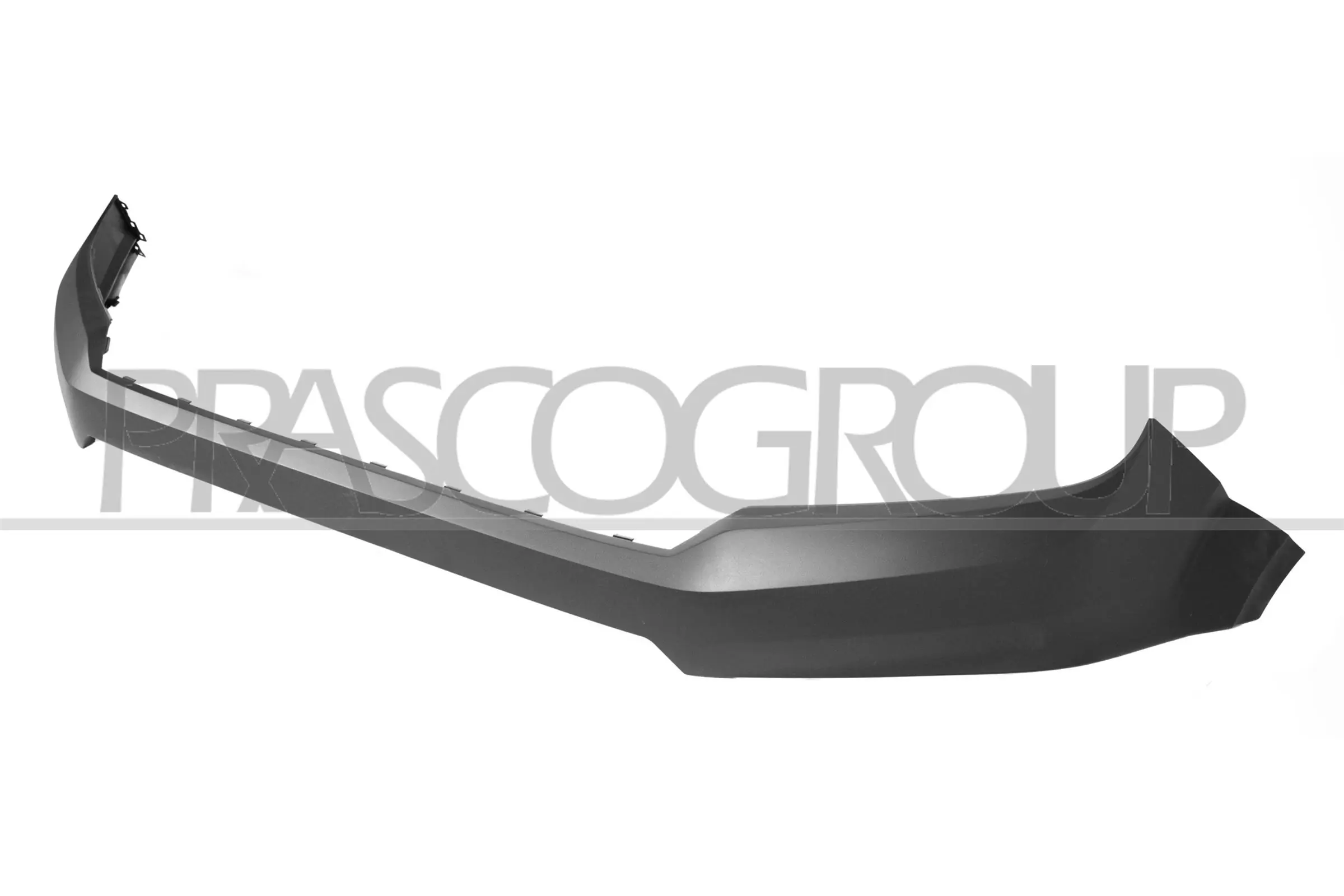 VG9561245 Prasco