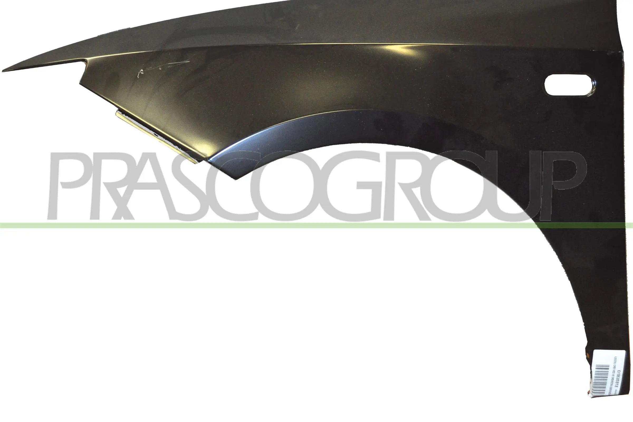 Pára-lama dianteiro esquerdo para Seat Ibiza IV ST 6J8, 6P8