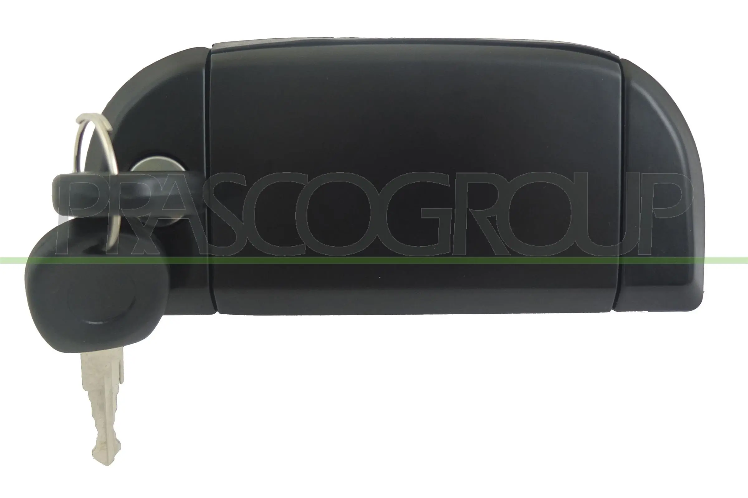 VG9138041 Prasco