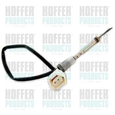 7452290 Hoffer