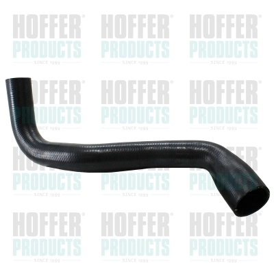 Mangueira (cano derivado) de intercooler 13419442 Renault (RVI)