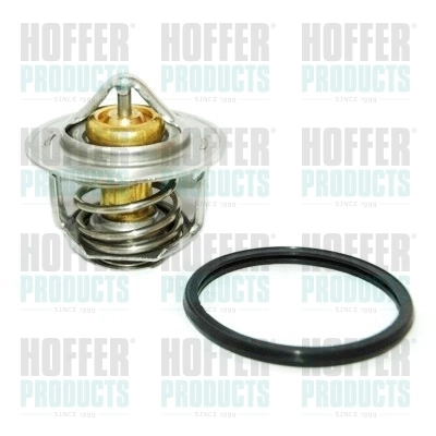 8192211 Hoffer