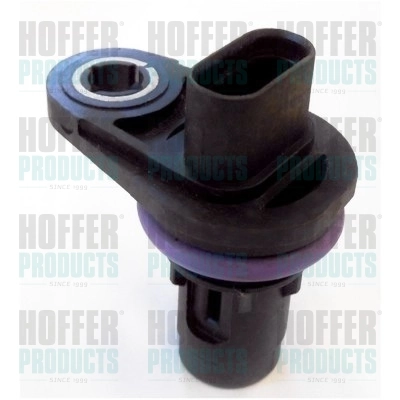 Rover 75 desde 42,47 €