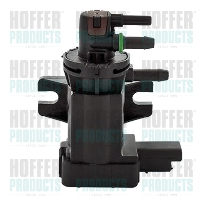 8029365 Hoffer