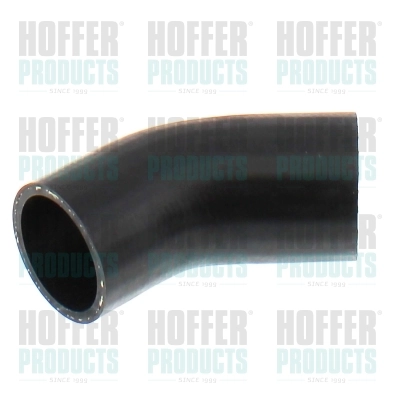 961628 Hoffer