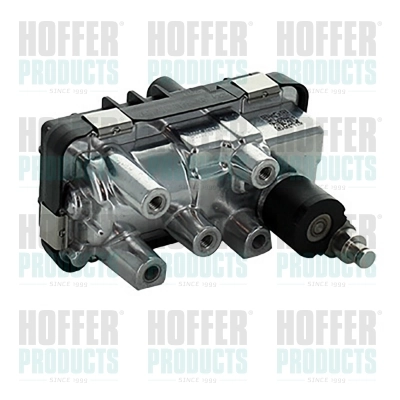 6200025 Hoffer