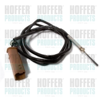 Sensor de temperatura dos gases de escape (GE), depois de filtro de partículas diesel EFI 1473118