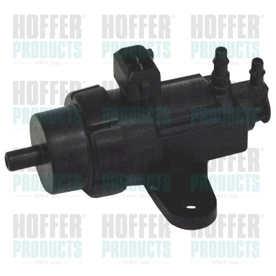 8029127 Hoffer