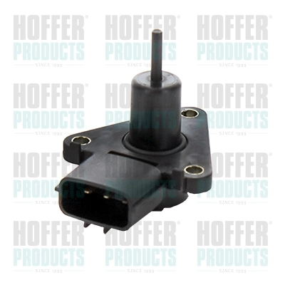 6700900 Hoffer