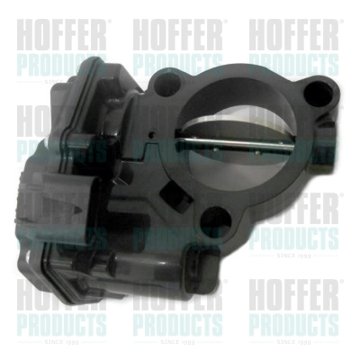 Válvula de borboleta montada para BMW X5  G05, F95
