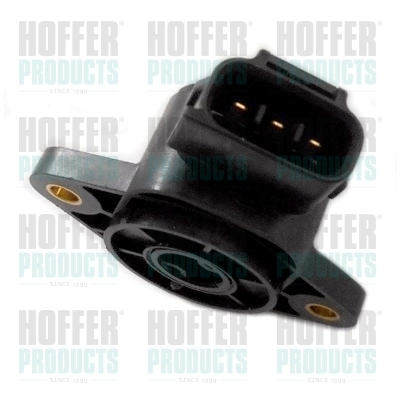 7513108 Hoffer