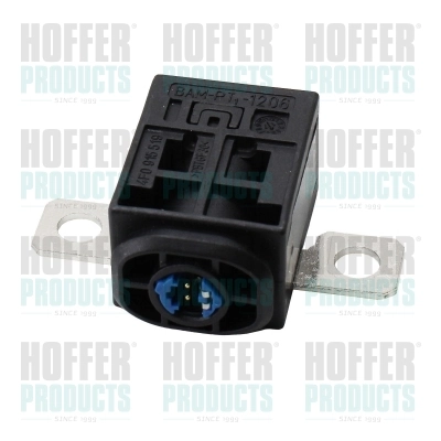 H73256618 Hoffer