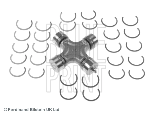 ADZ93911 Blue Print