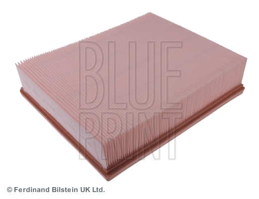  Filtro de ar Land Rover Discovery II SUV (LJ ,LT) (1998 - 2004) II