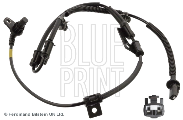 ADG071110 Blue Print