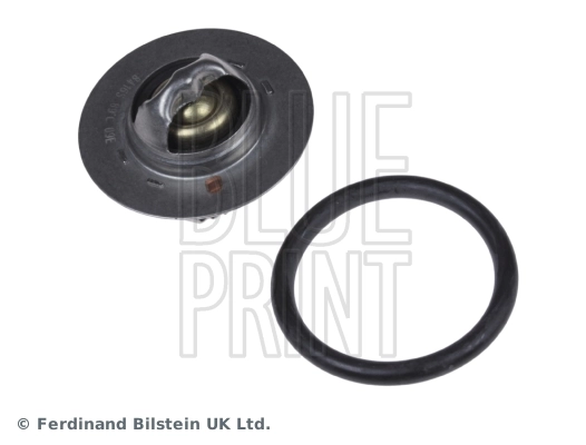 Termostato para Renault 21  S48