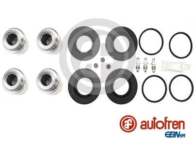 D42312C Autofren